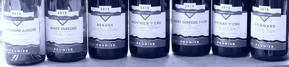Domaine Prunier Bourgogne 2015
